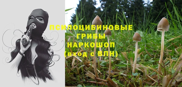 СК Абдулино