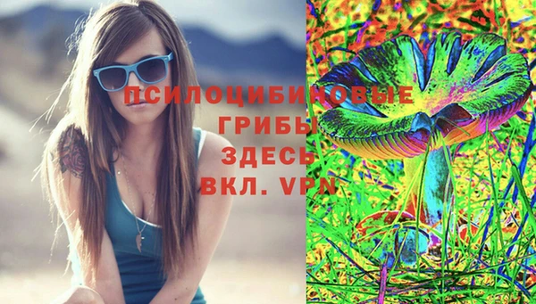 СК Абдулино