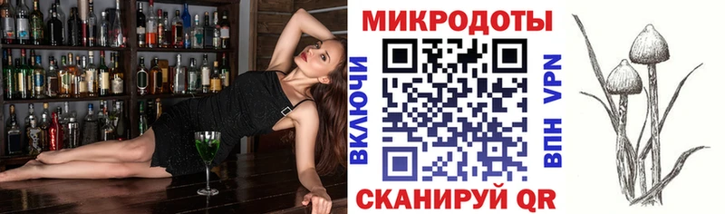 как найти наркотики  Судогда  Галлюциногенные грибы мицелий 